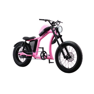 Flight Risk FR666 Electric Bike