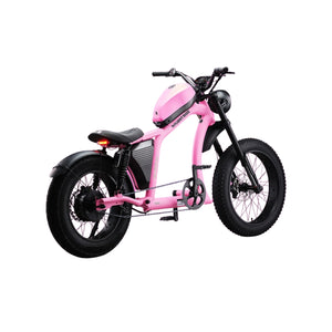 Flight Risk FR666 Electric Bike