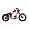 Flight Risk FR666 Electric Bike