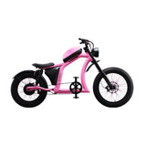 Flight Risk FR666 Electric Bike
