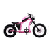 Flight Risk FR666 Electric Bike