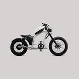 Flight Risk FR666 Electric Bike