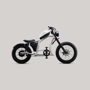 Flight Risk FR666 Electric Bike