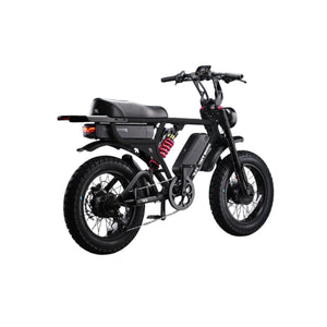 Flight Risk FR777 Electric Bike