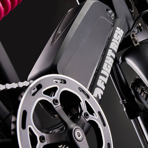 Flight Risk FR777 Electric Bike