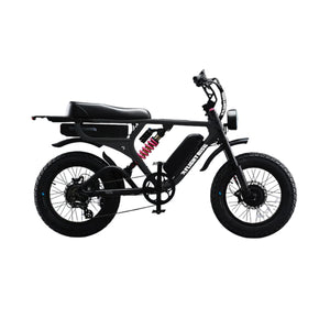 Flight Risk FR777 Electric Bike