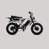 Flight Risk FR777 Electric Bike