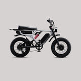 Flight Risk FR777 Electric Bike