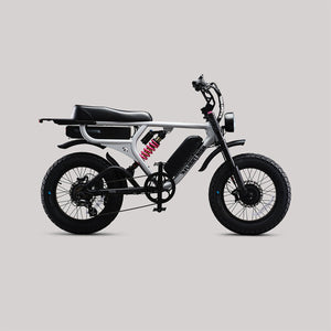 Flight Risk FR777 Electric Bike