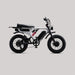 Flight Risk FR777 Electric Bike