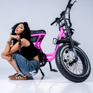 Flight Risk FR303 Electric Bike