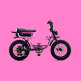 Flight Risk FR333 Electric Bike