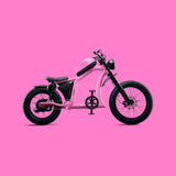 Flight Risk FR666 Electric Bike