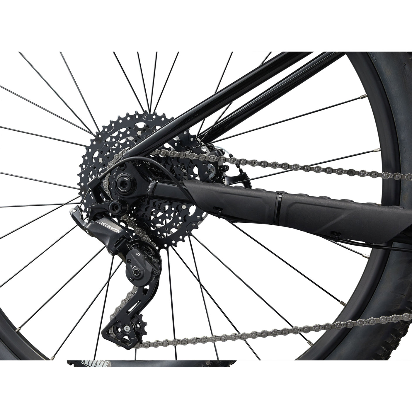 Liv Tempt 4 29" MTB