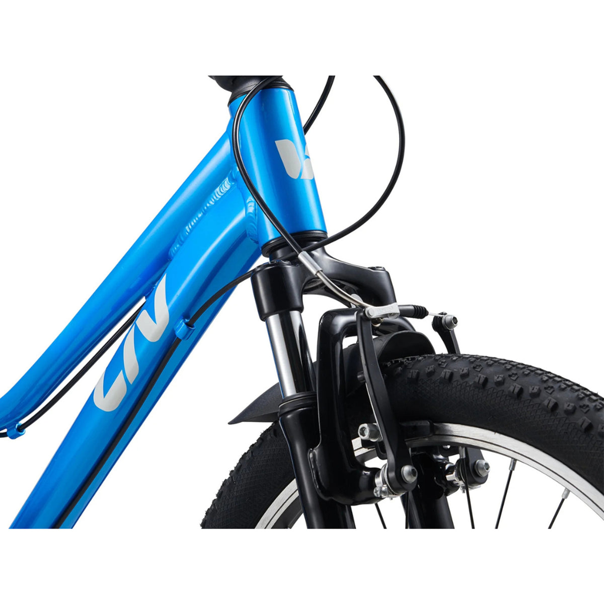 Liv Tempt 20 Kids Bike