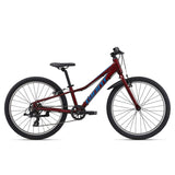 Giant Talon 24" Lite Kids Bike