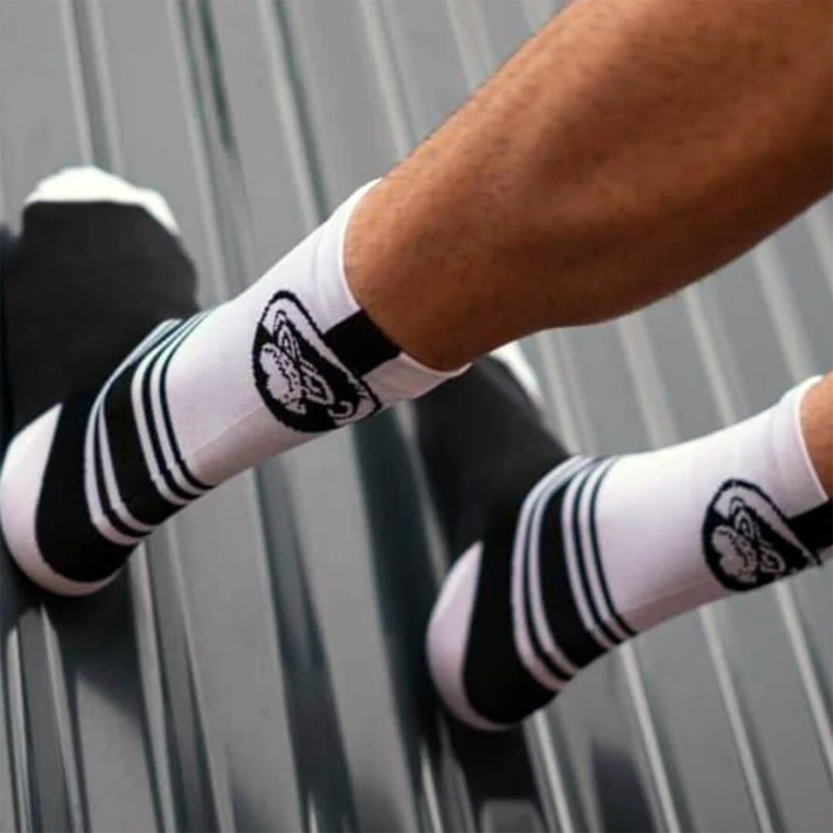 Grumpy Monkey White Black Stripe Socks