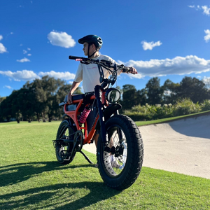 Flight Risk FR555 Electric Bike