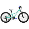 Trek Precaliber 20" Tourney MTB