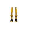 Peaty's x Chris King MK2 Tubeless Valves