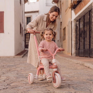 Rizz Little Wanderer Tricycle