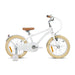 Rizz Platinum Boys 14" Bicycle