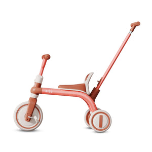Rizz Little Wanderer Tricycle