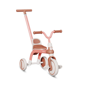 Rizz Little Wanderer Tricycle