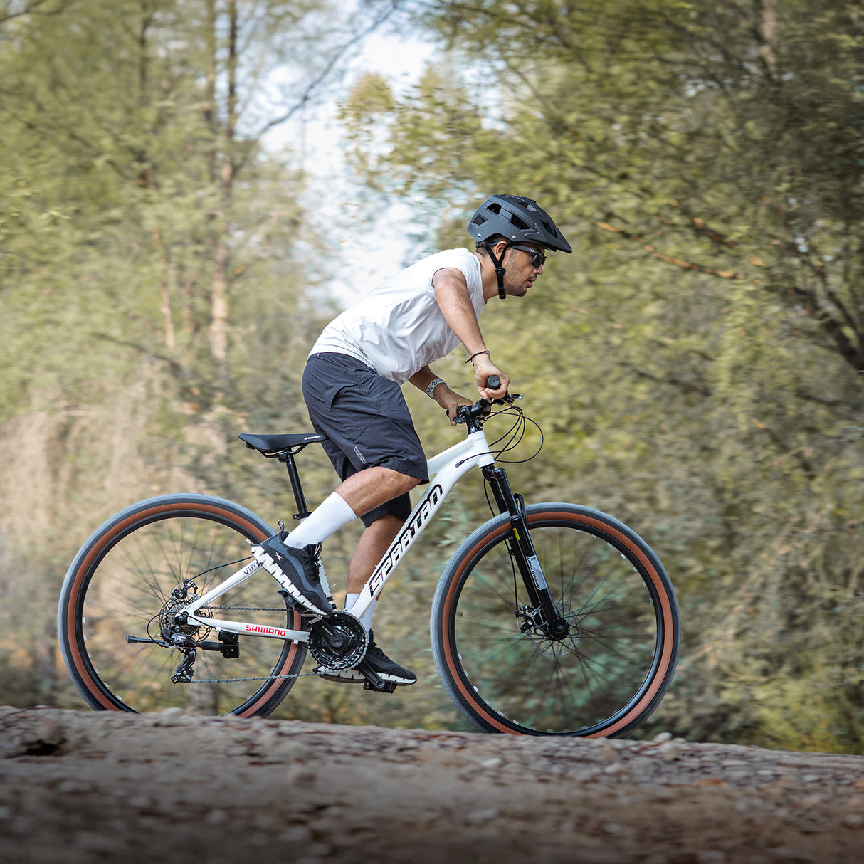 Spartan 29" Viper Hardtail MTB