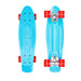 Ziggy Skateboard