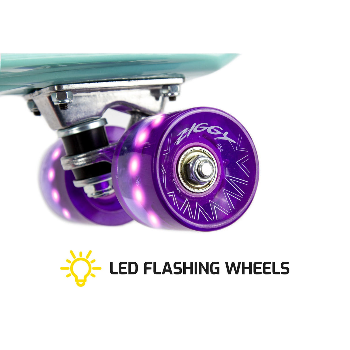 Ziggy Skateboard