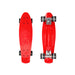Ziggy Skateboard