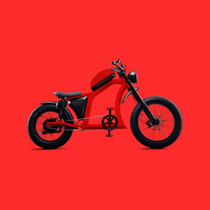 Flight Risk FR666 Electric Bike