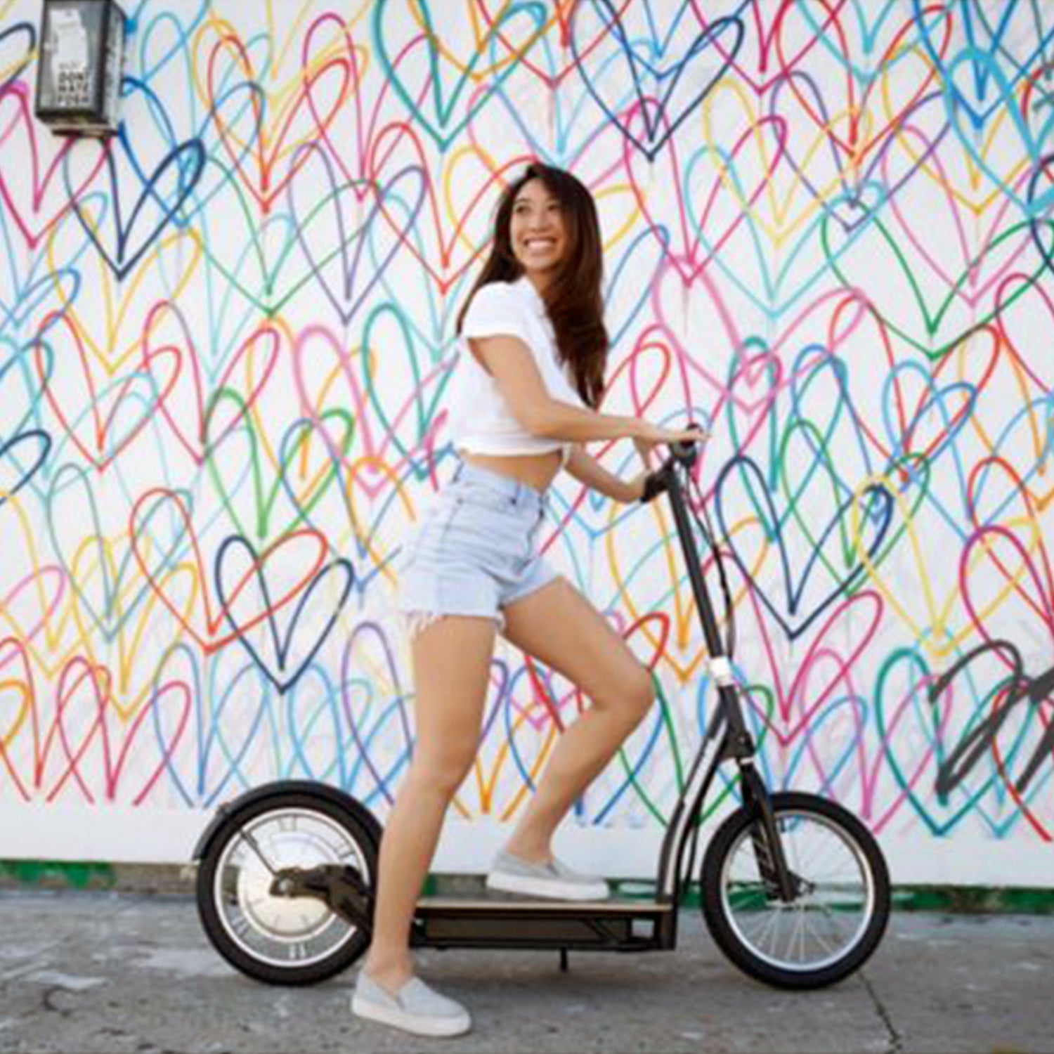 Razor E-Scooter EcoSmart HD SUP