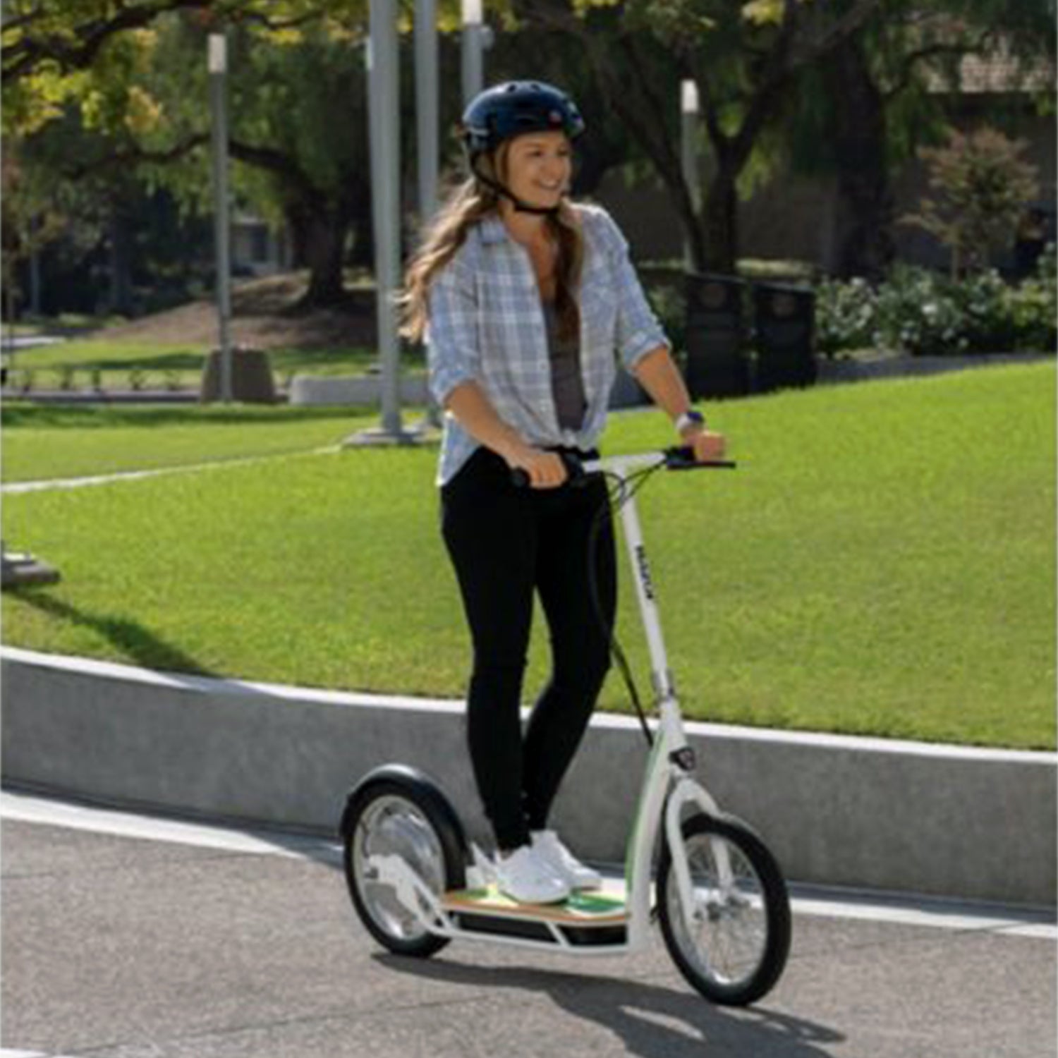 Razor E-Scooter EcoSmart HD SUP