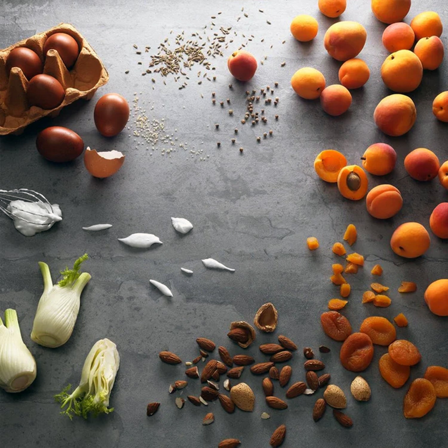 Veloforte Forza Protein Bar (9 x 62g)