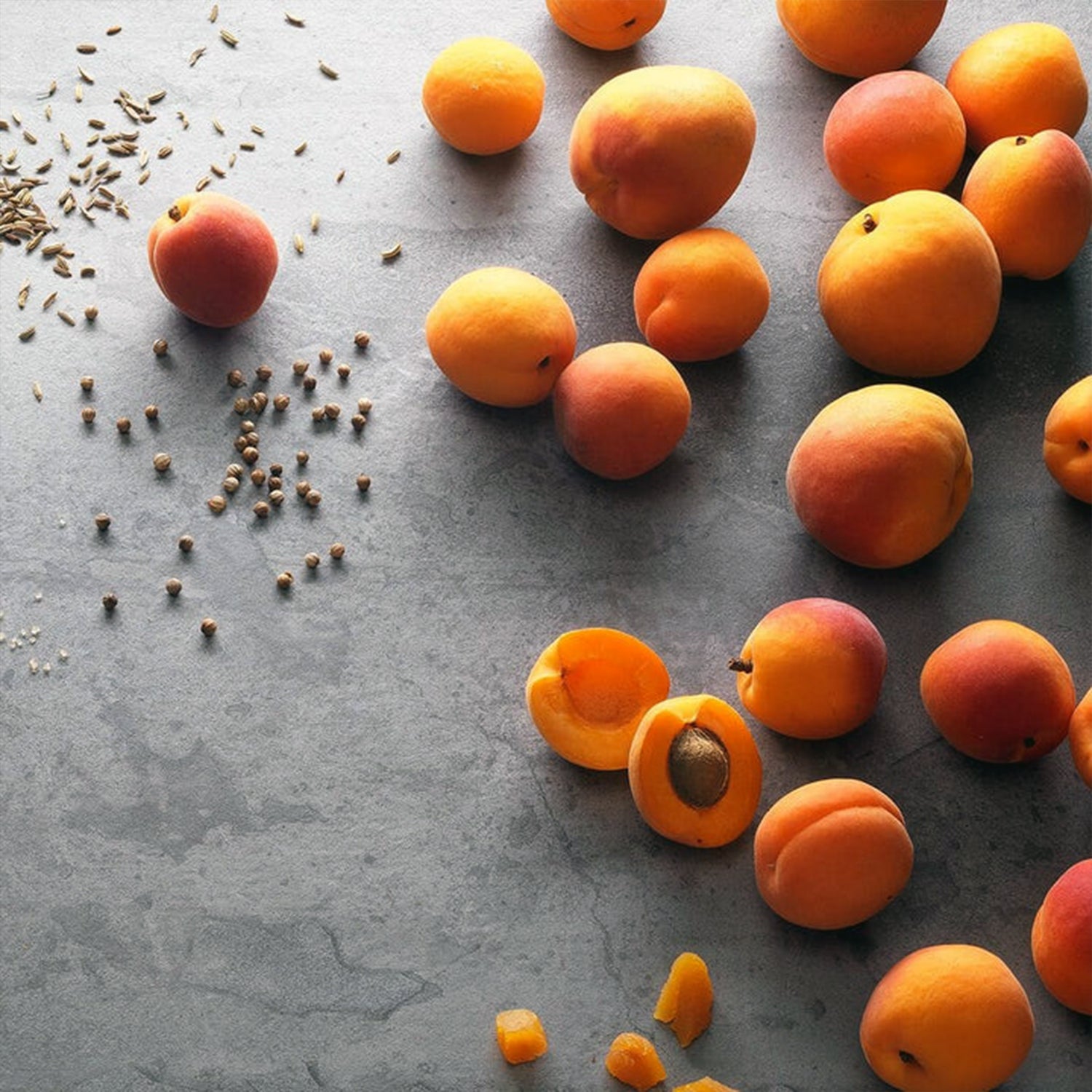 Veloforte Forza Protein Bar (9 x 62g)