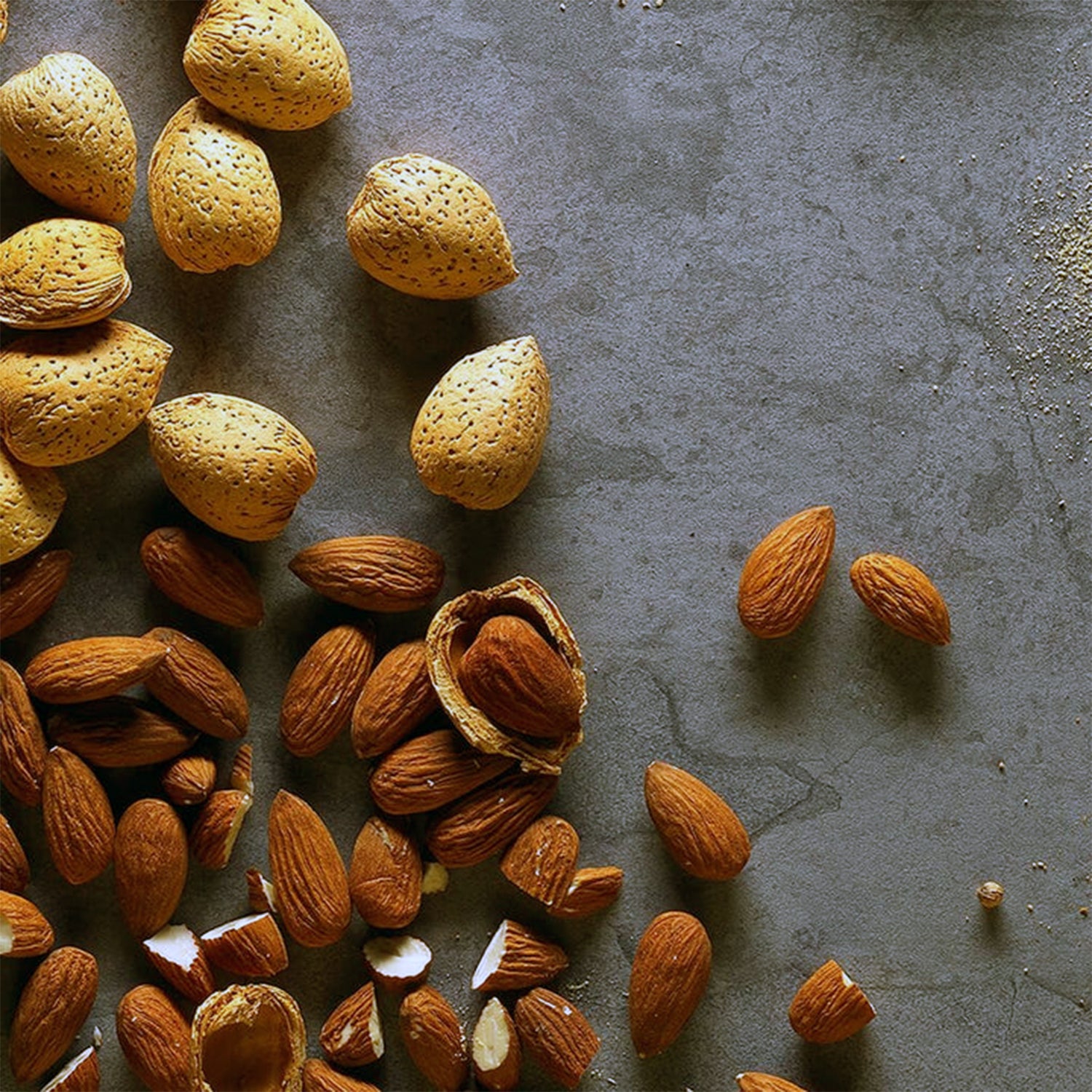 Veloforte Classico Energy Bar (9 x 62g)