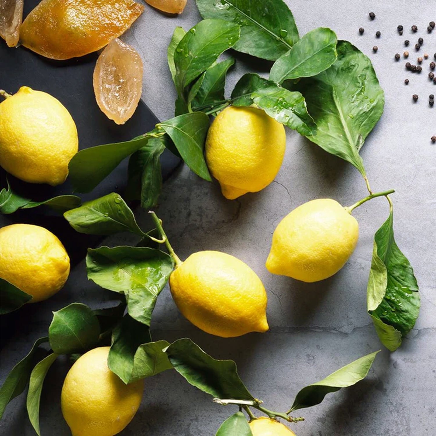 Veloforte Zenzero Energy Bar (9 x 62g)