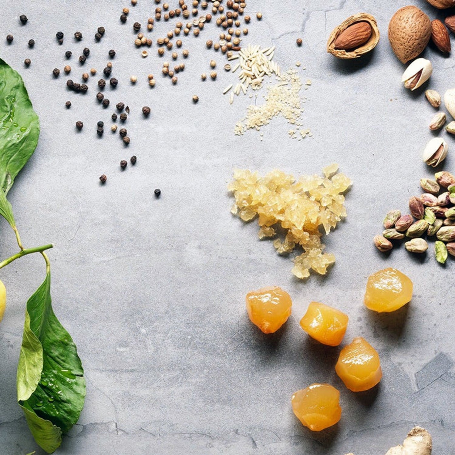 Veloforte Zenzero Energy Bar (9 x 62g)