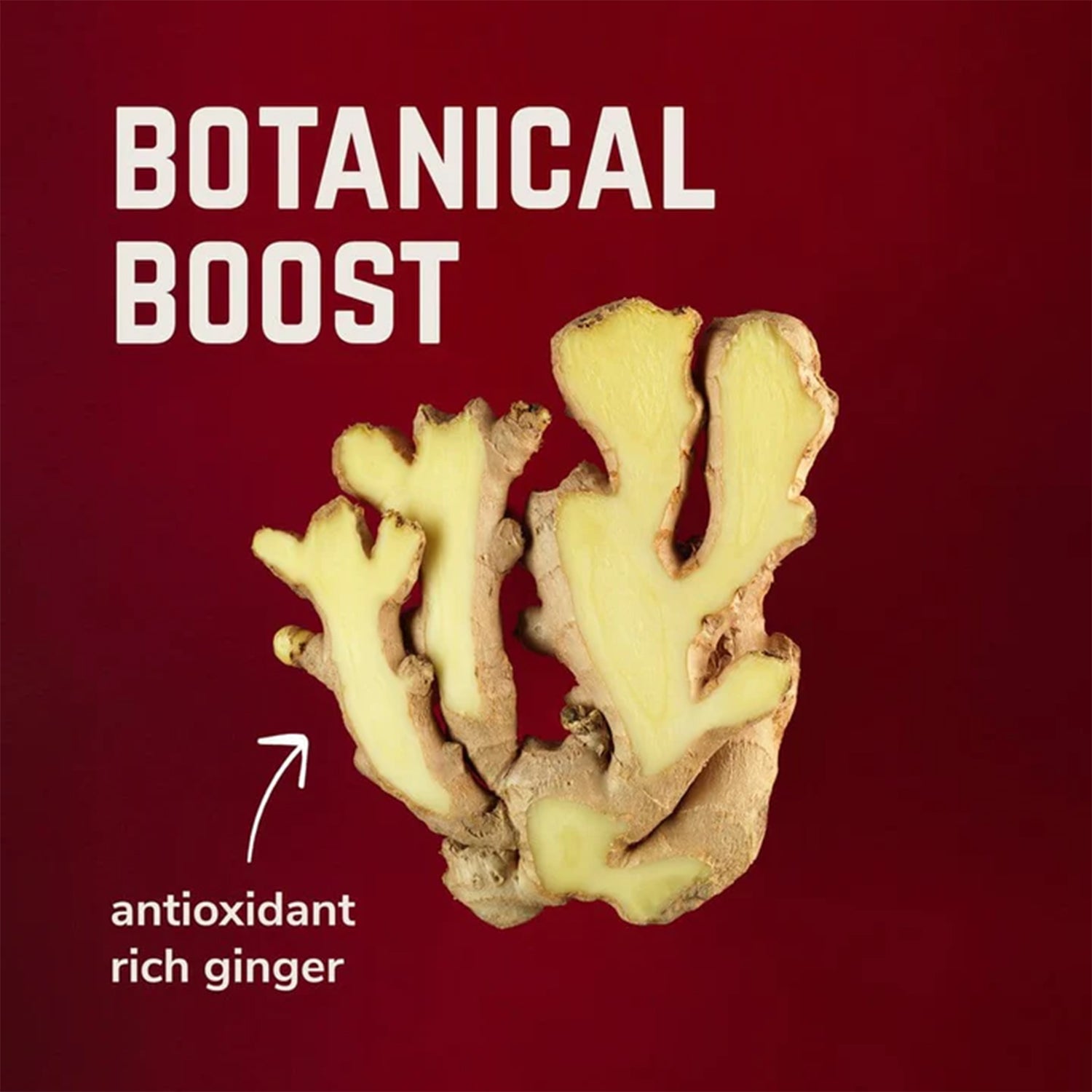 Veloforte Tempo - Natural Energy Gel (9 x 33g)