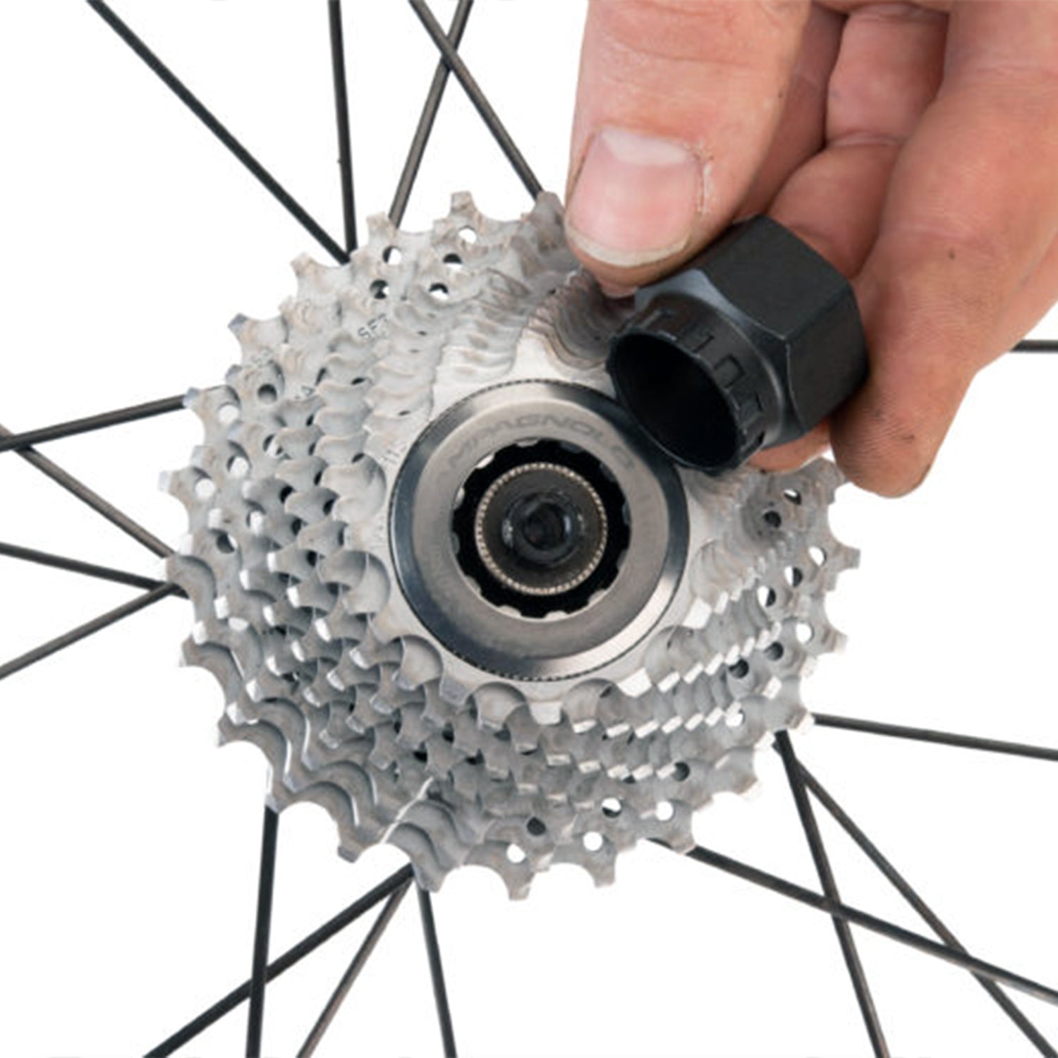 Park Tool Bottom Bracket / Cassette Lockring Tool Campagnolo® BBT-5/FR-11