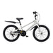 RoyalBaby 20" Freestyle Bicycle