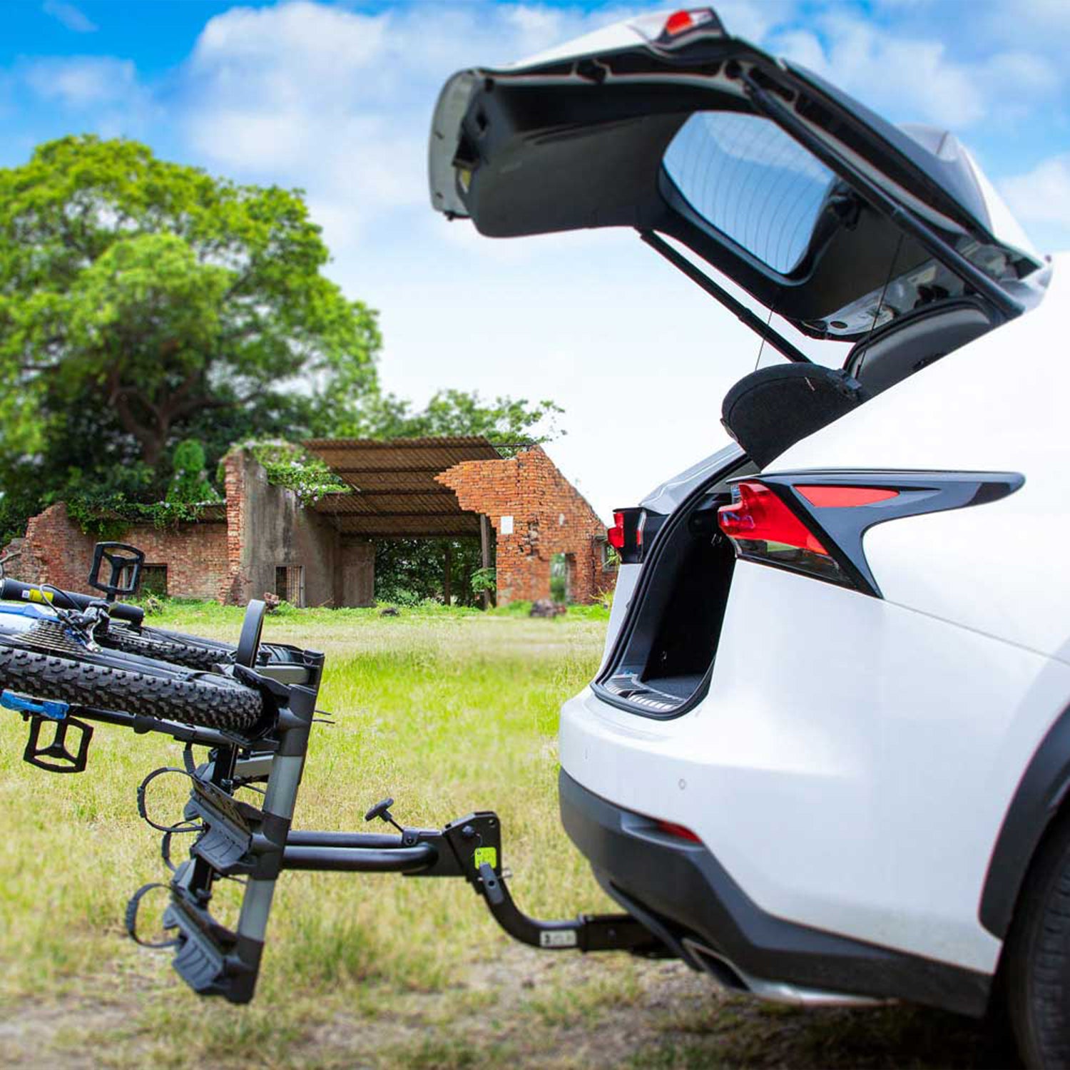 BuzzRack E-Hornet H3