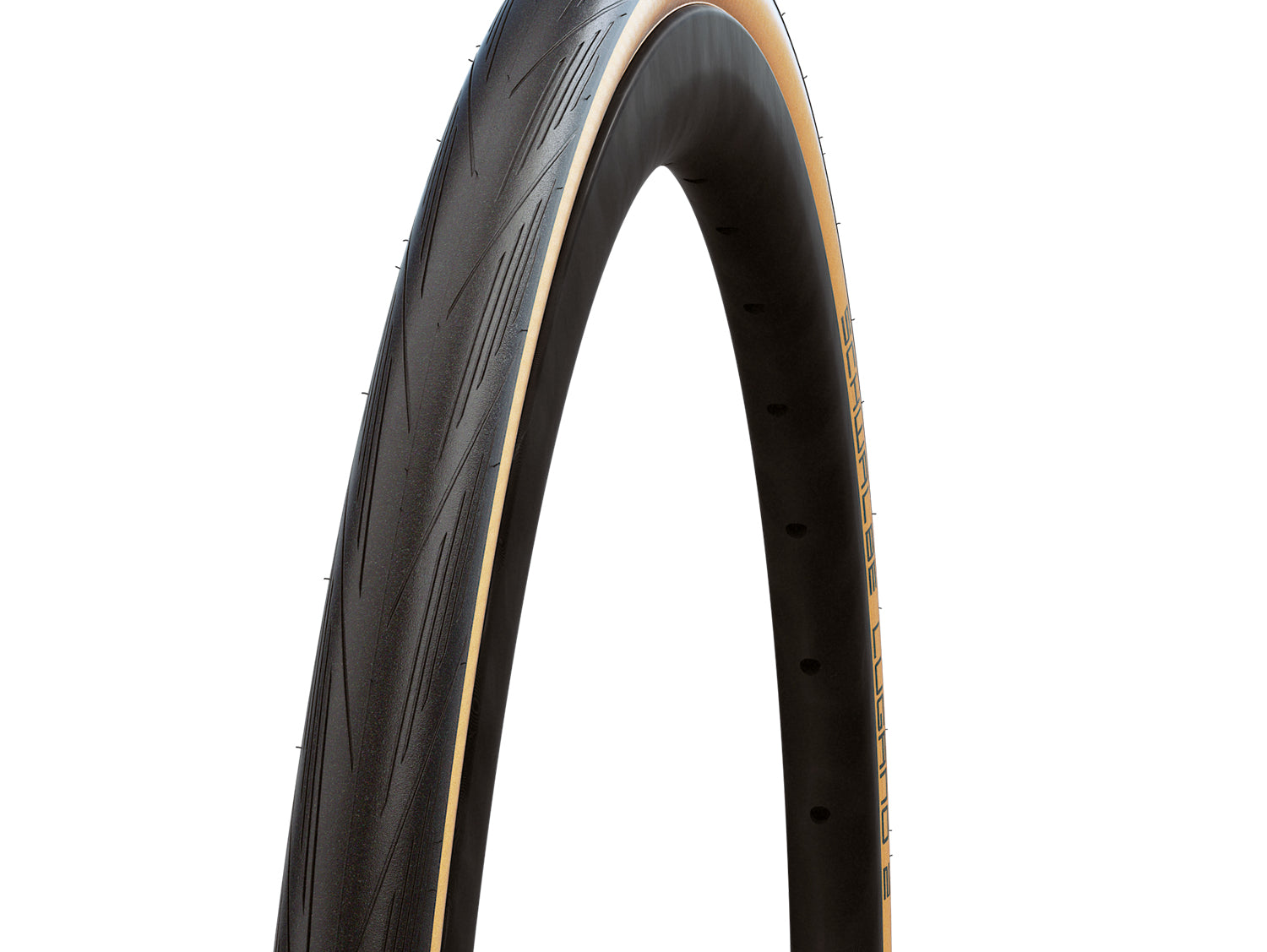 Schwalbe Lugano II