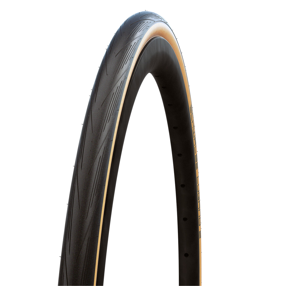 Schwalbe Lugano II