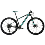 Bianchi Methanol 9.1 CV RS MTB