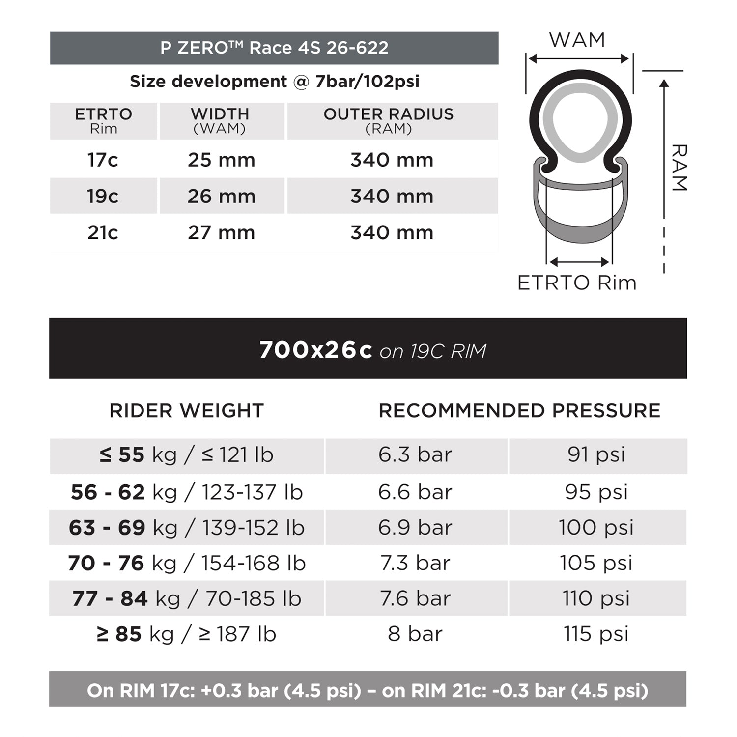 Pirelli P ZERO Race 4S
