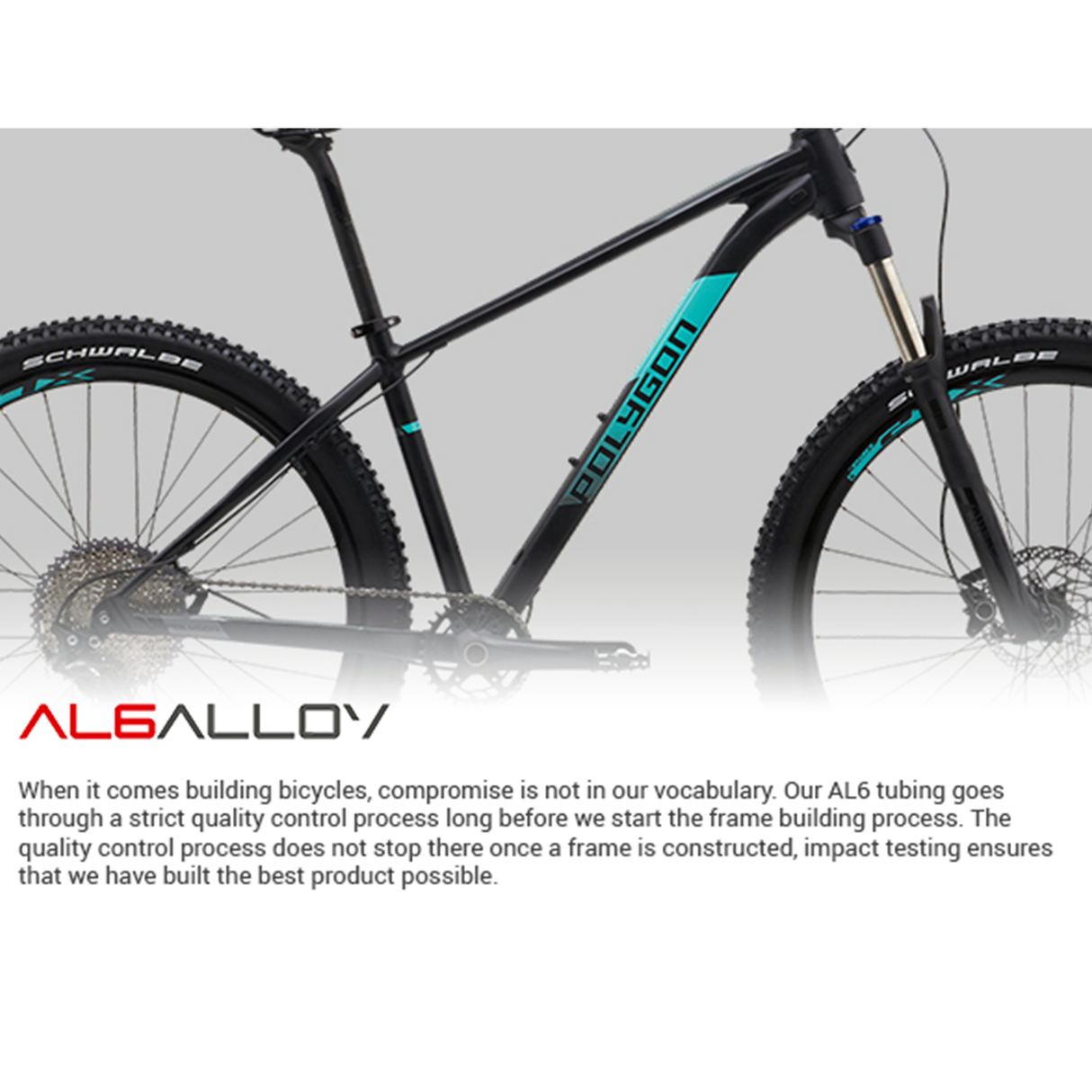 Polygon hardtail top