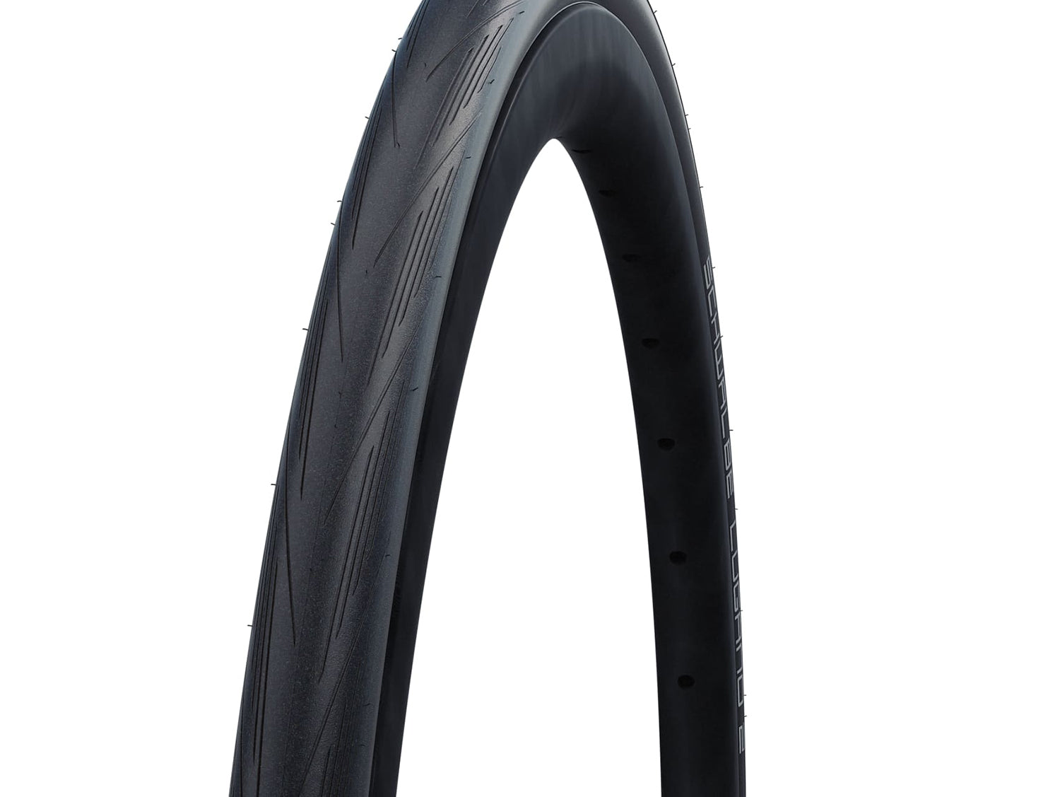 Schwalbe Lugano II